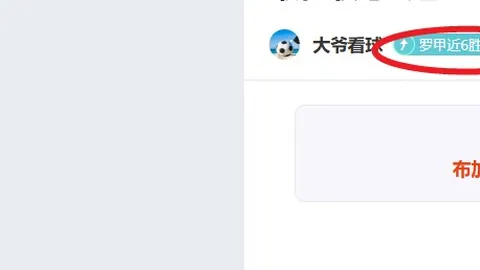 2021-2022赛季布鲁日欧冠参赛名单揭秘