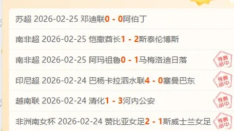 2026年奥运申办战况白热化：广州、杭州与川渝地区谁将胜出？