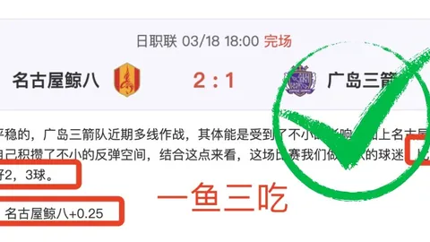 科技巨头财报，新葡京app，亮眼，新项目引行业关注